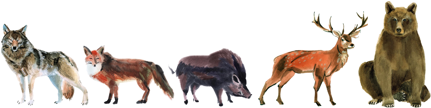 Bestiaire