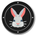 Icone lapin