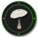 Parasol